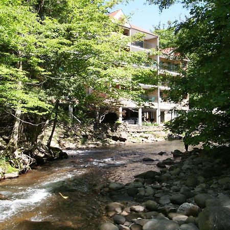 Park Place Condos Gatlinburg Zewnętrze zdjęcie