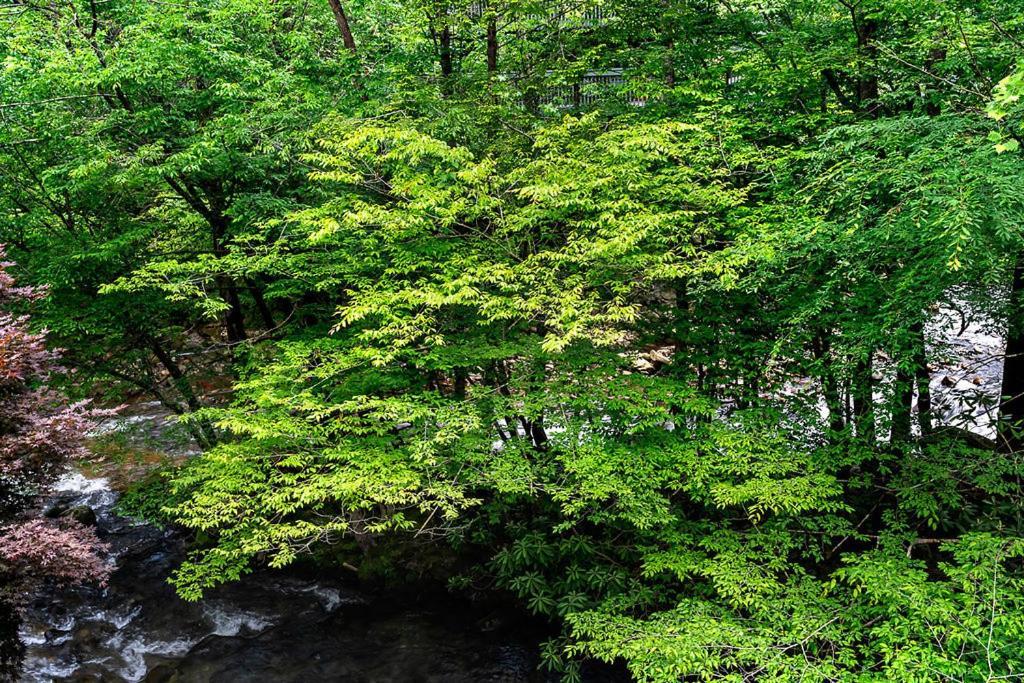 Park Place Condos Gatlinburg Zewnętrze zdjęcie